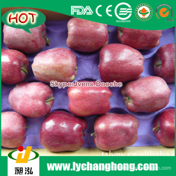 2015 New Crop Red Frische Äpfel Preis